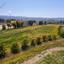 land for sale poli chrysochous paphos 946304 thumbnail 16008903