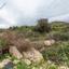 land for sale pyrgos limassol limassol 8463304 thumbnail 15594697