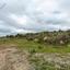 land for sale pyrgos limassol limassol 8463304 thumbnail 15594698