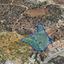 plot for sale pyrgos limassol limassol 1800304 thumbnail 5996751