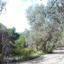 2314 SQM Land for sale in Drynia, Paphos thumbnail 15596566