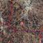 land for sale avgorou famagusta 8630404 thumbnail 15873092