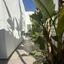 4 bedroom detached house for sale agios athanasios limassol 7772504 thumbnail 10384970