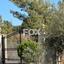 5 bedroom detached house for sale moni limassol 1580504 thumbnail 5643321