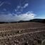 land for sale agios theodoros larnacas larnaca 7745504 thumbnail 10255192