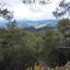 land for sale prodromos limassol 8281504 thumbnail 14006322