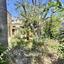 3 bedroom detached house for sale anavargos paphos 8813604 thumbnail 16861925