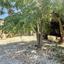 3 bedroom detached house for sale anavargos paphos 8813604 thumbnail 16861972