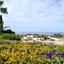 3 bedroom detached house for sale sea caves peyia paphos 7963604 thumbnail 11446823