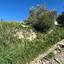 land for sale erimi limassol 1757604 thumbnail 5758963
