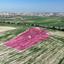 land for sale kalo chorio larnacas larnaca 1303604 thumbnail 5625647