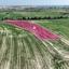 land for sale kalo chorio larnacas larnaca 1303604 thumbnail 5625652