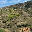 land for sale nata paphos 933604 thumbnail 17158567
