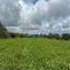 land for sale pano akourdalia paphos 8447604 thumbnail 15069071