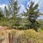 plot for sale vavatsinia larnaca 1440604 thumbnail 5774502