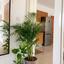 1 bedroom apartment for sale geroskipou paphos 8542704 thumbnail 15517366