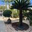 6 bedroom detached house for sale kato paphos universal paphos 1355704 thumbnail 5641461