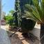 6 bedroom detached house for sale kato paphos universal paphos 1355704 thumbnail 5641464
