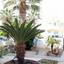 6 bedroom detached house for sale kato paphos universal paphos 1355704 thumbnail 5641473