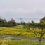 plot for sale dekeleia larnaca 8387704 thumbnail 16300530