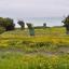 plot for sale dekeleia larnaca 8387704 thumbnail 16300531