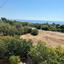 studio hotel for sale kissonerga paphos 8395704 thumbnail 16046777