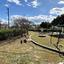 3 bedroom apartment for sale pervolia larnaca 1877804 thumbnail 14877592