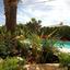 5 bedroom detached house for sale lofos tala paphos 7739804 thumbnail 17935441