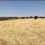 land for sale alampra nicosia 1150804 thumbnail 5122749