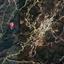 land for sale kapedes nicosia 945804 thumbnail 15603412