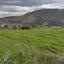 land for sale pachna limassol 1032804 thumbnail 15602015