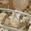 plot for sale ormideia larnaca 1148804 thumbnail 5741748