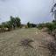 land for sale ora larnaca 1924904 thumbnail 17566260