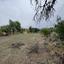 land for sale ora larnaca 1924904 thumbnail 17566261