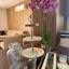 3 bedroom apartment for rent limassol municipality limassol 8786014 thumbnail 16662029