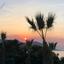 7 bedroom detached house for sale neo chorio paphos 8328114 thumbnail 14287058