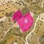 land for sale anglisides larnaca 7872114 thumbnail 11384191