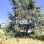 land for sale souni zanakia limassol 7714114 thumbnail 10069992