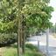 plot for sale strovolos nicosia 1153114 thumbnail 12676326