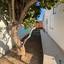 3 bedroom detached house for rent dromolaxia larnaca 7984214 thumbnail 17131764