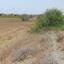 land for sale mazotos larnaca 831214 thumbnail 1313575