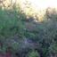 land for sale moniatis limassol 683214 thumbnail 408398