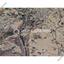 land for sale pera orinis nicosia 1867214 thumbnail 12644418