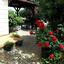 4 bedroom detached house for sale agios dometios nicosia 1152314 thumbnail 5150271