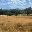 land for sale agios tychonas limassol 7873314 thumbnail 11390900