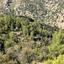 land for sale moutoullas nicosia 7980314 thumbnail 11622158