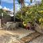 2 bedroom town house for rent tombs of the kings paphos 8529414 thumbnail 16404553