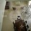 4 bedroom detached house for sale kato deftera nicosia 1152414 thumbnail 5153628