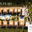 6 bedroom detached house for sale zygi larnaca 8347414 thumbnail 14675400