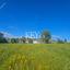 land for sale asgata limassol 8890414 thumbnail 17319707